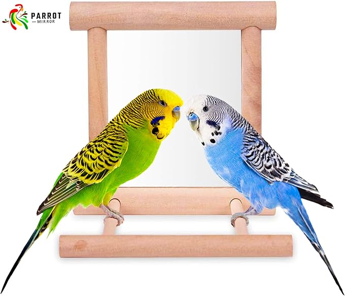 Bllesqelax Bird Parakeet Mirror for Cage,Parrot Perch Stand,Wooden Hummingbird Swing Toy,Parakeet Accessories for Cockatiels Conure Finch Lovebird Canary African Grey Macaw