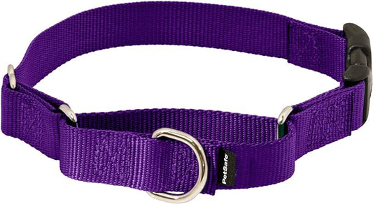 PetSafe Martingale Dog Collar with Quick-Snap Buckle - Large, 1 Inch, Deep Purple