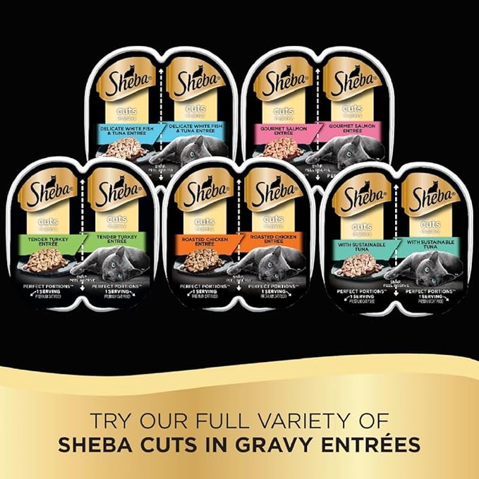 SHEBA PERFECT PORTIONS Cuts in Gravy Adult Wet Cat Food Trays (24 Count, 48 Servings), Gourmet Salmon, Sustainable Tuna, And Delicate Whitefish & Tuna Entrée, Easy Peel Twin-Pack