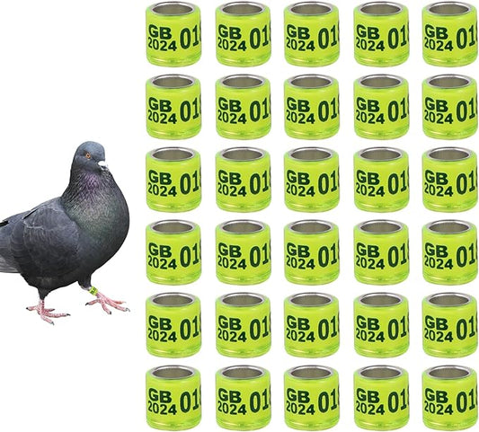 50Pcs Aluminium Pigeon Leg Rings with 2024 GB Training Identify 8mm Birds Leg Bands for Pigeon Parrot Quail (Fluorescent Color)