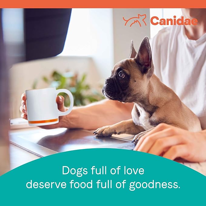 Canidae Pure PUPPY Real Chicken, Lentil & Whole Egg Recipe Dry Dog 4 LB
