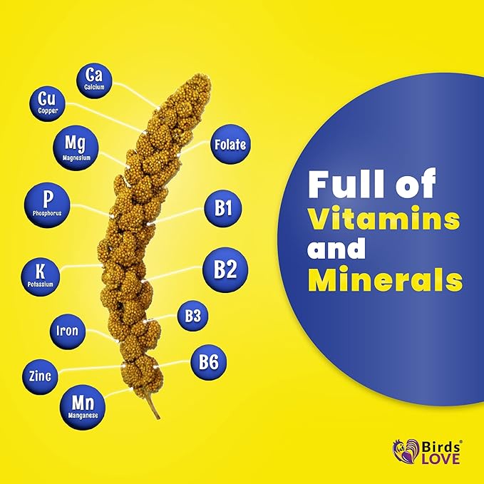 Birds LOVE Economy & Thin Special Spray Millet GMO-Free (No Stems Only Edible Tops) for Birds Cockatiel Lovebird Parakeet Finch Canary All Parrots Healthy Treat - 5lbs