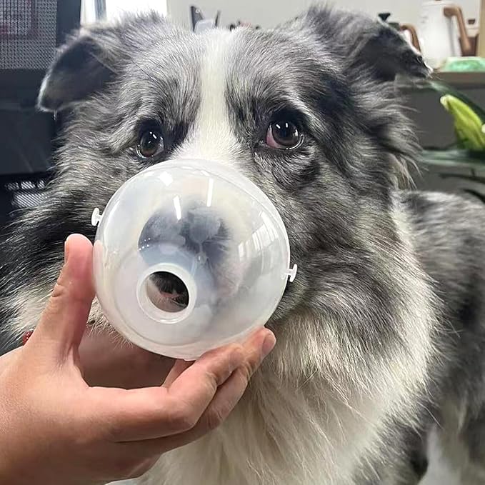 Lying Down Nebulizer Cup and Inhaler Mask for Cats and Small Dogs, Oxygen Mask for Pets (No Nebulizer Device) (S)