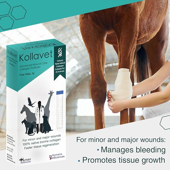 Veterinarian-Recommended Animal Wound Care Dressing for Cats, Dogs, Horses, Reptiles, Pets, and Working Animals (1 Gram Vials)