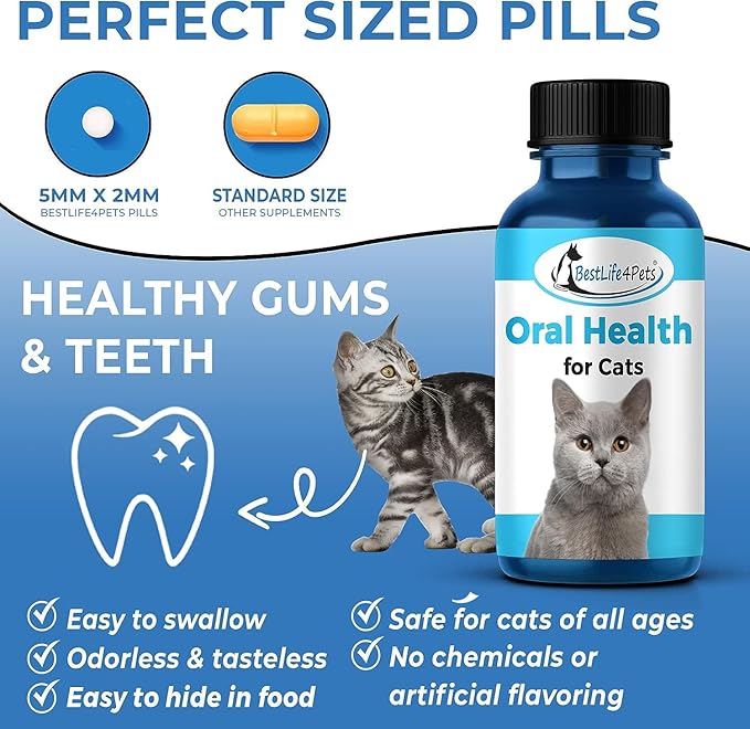 BestLife4Pets Oral Health for Cats - Cat Dental Care Supplement for Stomatitis Gingivitis and Gum Disease Cat Supplies for Dental Care - Easy to Use Pills (2 Pack)