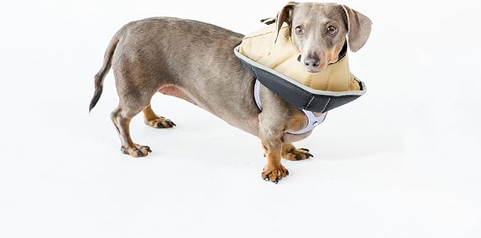 Comfy Cone Pet Cone for Dogs, Cats, Small-Long, Tan - Comfortable Soft Dog Cone Collar Alternative for After Surgery, Wound Care, Spay, Neuter - Dog and Cat Recovery Collar