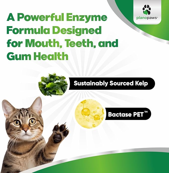 Cat Dental Care Powder - Easier Than Cat Toothpaste - Cat Dental Treat Alternative to Get Plaque Off - Cat Teeth Cleaning Powder with Bactase PET - Cat Breath Freshener for Cat Bad Breath - Oral Care