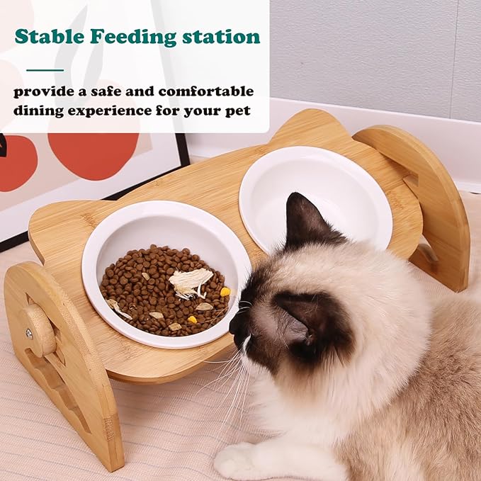 Raised Cat Food Bowls, 2 Elevated Ceramic Bowls 15° Tilted Orthopedic Feeding Dishes Solid Bamboo Pet Bowls Feeder Set for Cats and Puppy Feeding Station Kitty Bowl Set for Food and Water