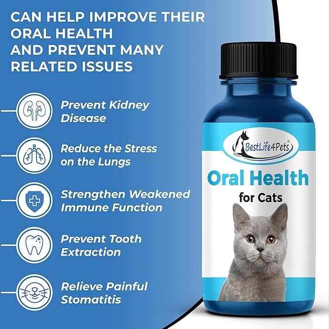 BestLife4Pets Oral Health for Cats - Cat Dental Care Supplement for Stomatitis Gingivitis and Gum Disease Cat Supplies for Dental Care - Easy to Use Pills (2 Pack)