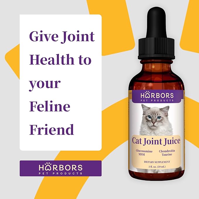 Harbor's Cat Hip Helper - Cat Joint Supplement Liquid for Fast Pain Relief, Smooth Younger HIPS. Natural Nutrients, Glucosamine, MSM, Chondroitin, Hyaluronic Acid, Yummy Organic Beef Flavor - 59 ml