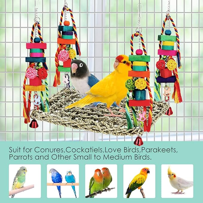 Bird Toys Parakeet Toys Conure Toys Bird Foraging Wall Toy,Seagrass Woven Hammock Swing Mat for Climb Perch Swing with Colorful Wooden Chewing Toys for Lovebirds,Parakeets,Conure,Cockatiel (Large)