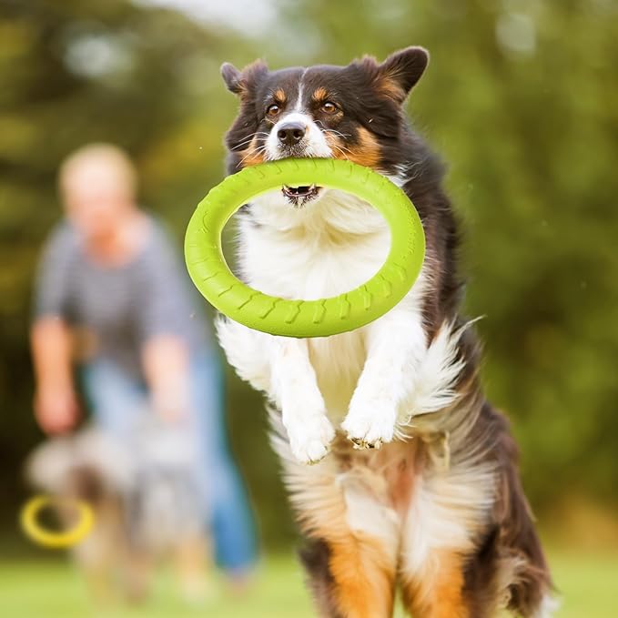 4 Pack Dog Toy Dog Training Ring for Outdoor Aggressive Durable Dog Chewers Fetch Toys Flying Disc Floating Dog Ring for Large Medium Dogs Training and Teeth Cleaning