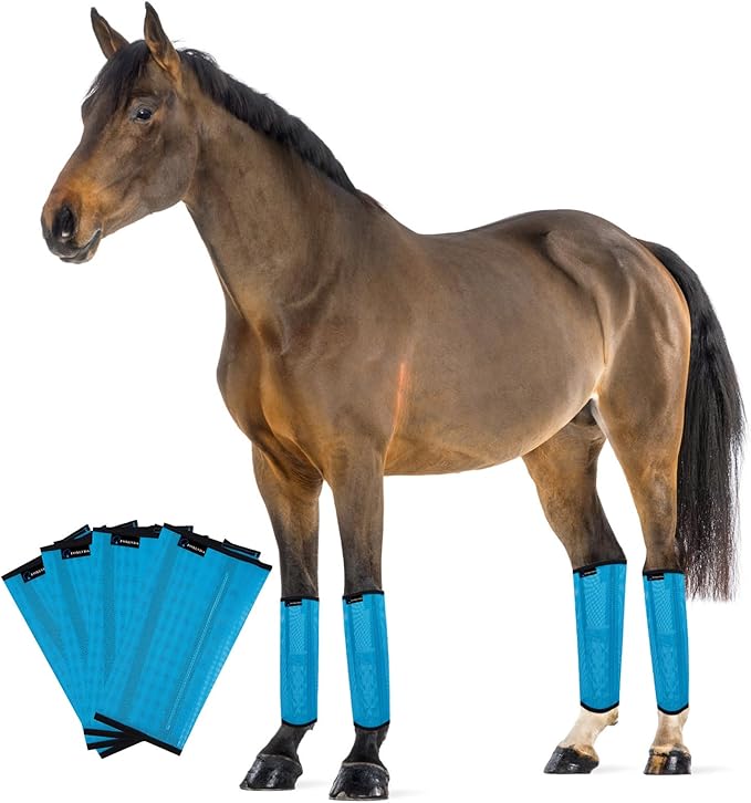 Horse Fly Boots, Adjustable Fly Boots for Horses Set of 4, Comfortable Horse Leggings, Breathable Plastic Mesh Material, Horse Supplies for Reduces Stress & Leg Fatigue (Blue)