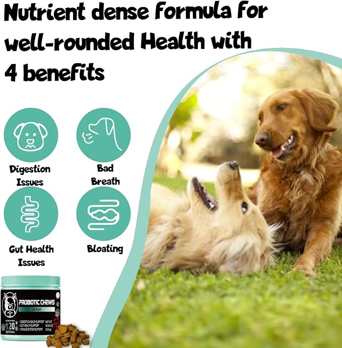 Probiotics for dogs - Probiotic chews for dogs - gut health for dogs - probiotico para perro - digestive enzymes for dogs - dog probiotics - dog health supplies - dog gut health