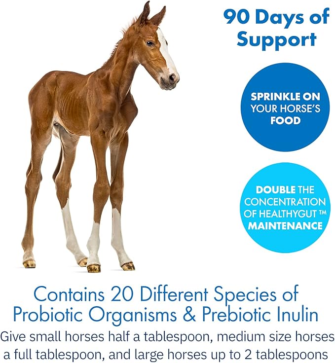 HealthyGut™ Probiotics for Horses Dietary Supplement, All-Natural Digestive System Performance Formula (90 Days)