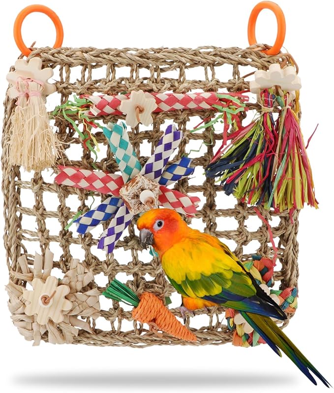 Hypeety Bird Toys Parrot Foraging Toys Bird Chew Toys Parakeet Shredding Seagrass Climbing Mat with Various Toys for Conure, Cockatiel, Lovebird, Parakeet, Budgie (L(Carrot))