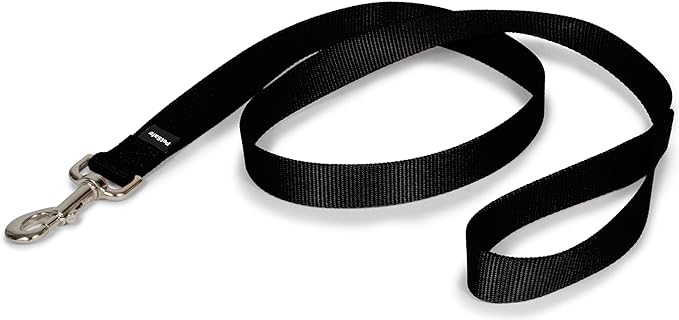 PetSafe Nylon Dog Leash - Strong, Durable, Traditional Style Leash with Easy to Use Bolt Snap - 1 in. x 4 ft., Black