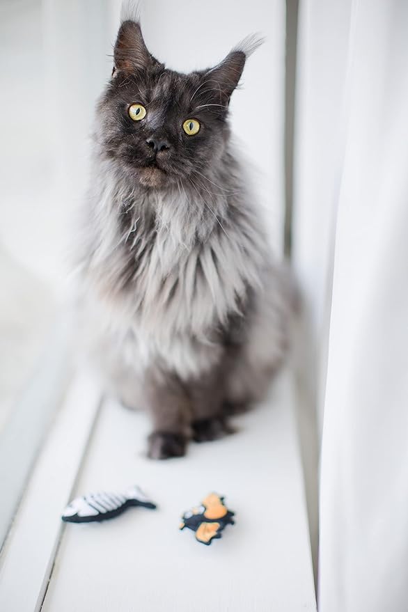 Pearhead Halloween Cat Toys, Set of 2, Holiday Pet Toys, Crinkle and Catnip Toys, Cat Teaser Toys, Must Have Pet Accessories for Pet Owners