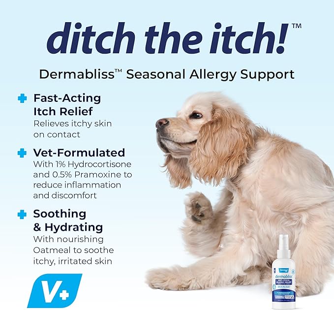 Vetnique Dermabliss Anti Itch Spray for Dogs & Cats with Hydrocortisone for Allergies and Immediate Dog Itching Skin Relief - Fragrance Free with Soothing Oat Extract (4oz Anti Itch Spray)