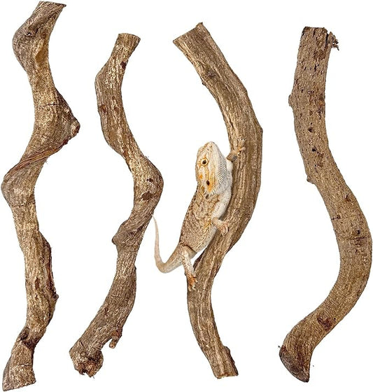 Reptile Climbing Branch Decor Wood Snake Terrarium Branches Lizard Habitat Decorations Wooden Tree Trunk Ornament for Bearded Dragon Geckos Chameleon Frog Pack of 4 (14-16 inch)