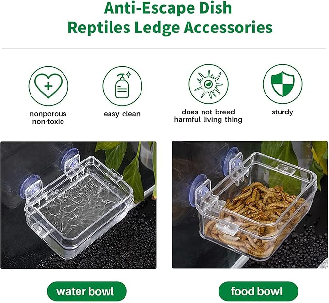 Tfwadmx 2 Pcs Chameleon Bowl, Reptile Feeding Food, Water Dish Gecko Worm Feeder Anti-Escape Chameleon Supplies Accessories for Lizard Bearded Dragon Snakes