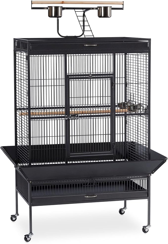 Prevue Pet Products Wrought Iron Select Bird Cage 3154BLK, Black Hammertone, 36-Inch by 24-Inch by 66-Inch