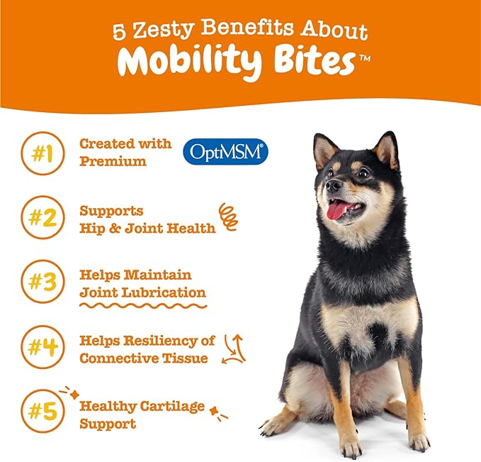 Mobility Bites for Dogs, Hip and Joint, All Ages, Duck, 90 Soft Chews, 12.7 oz (360 g), Zesty Paws