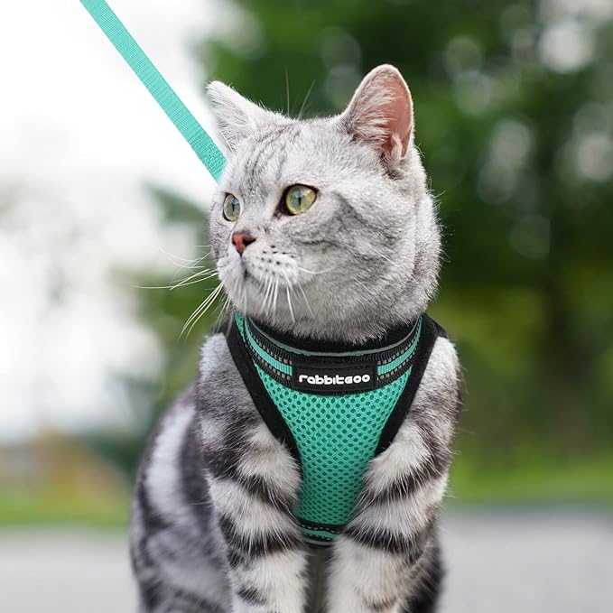 rabbitgoo Cat Harness and Leash Set for Walking Escape Proof, Adjustable Soft Kittens Vest with Reflective Strip for Cats, Comfortable Outdoor Vest,Green,M