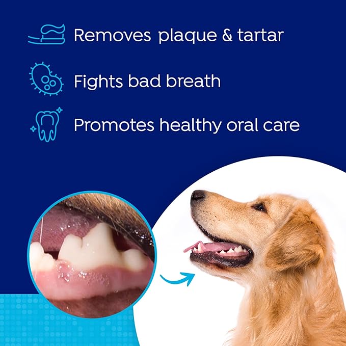 Naturel Promise Fresh Dental Water Additive - Dental Health Solution for Dogs Plus Hip & Joint - Freshens Breath Up to 12 Hours-No Brushing Required-Glucosamine Helps HIPS & Joints-17.9 Fl Oz, 1 Pack