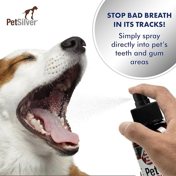 PetSilver Teeth & Gum Spray, Patented Chelated Silver, Dog Teeth Cleaning, Natural Dog Breath Freshener, Cat Teeth Cleaning Without Brushing, Dog Dental Spray, Made in The USA, 4 oz.