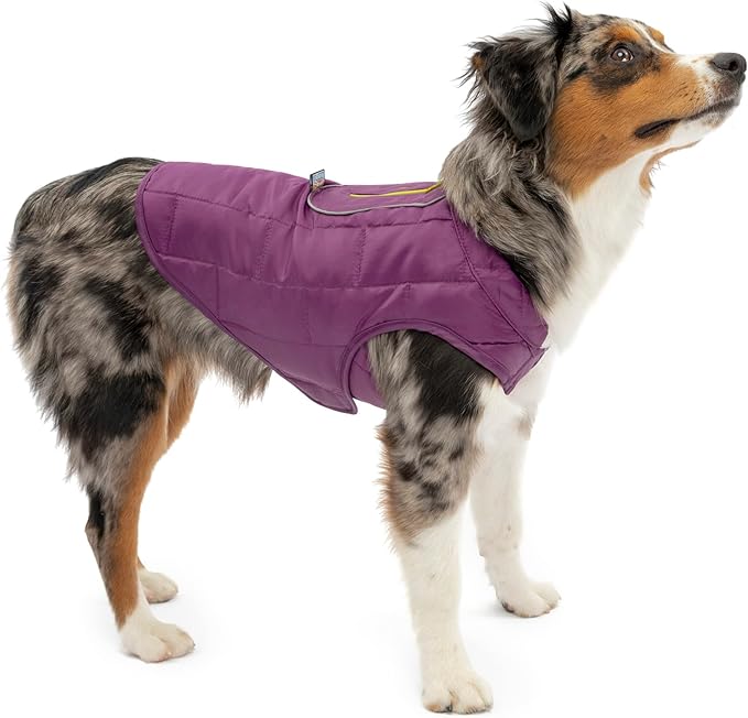 Kurgo Loft Dog Jacket, Reversible Winter Coat for Dogs, Wear with Harness or Sweater, Water Resistant, Reflective, for Small Medium Large Pets (Deep Violet, XS)