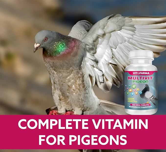 MULTIVIT Pigeon para palomas 100 Tabs Vitamins Minerals Aminoacids for Racing Pigeons Show Pigeons Rollers Supplement for Birds