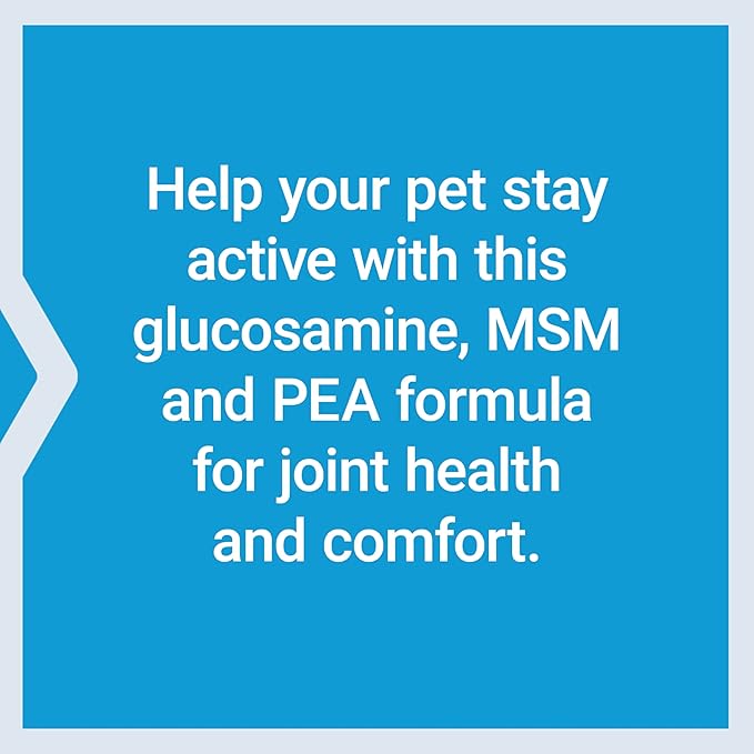 Life Extension DOG Hip & Joints - Dog Health Supplement for Joint Health and Joint Comfort - Glucosamine, MSM, PEA, Beef Flavor - 90 Soft Chews