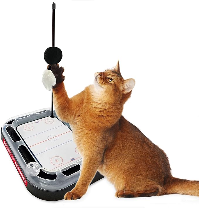 Pets FIrst Cat Scratching Toy NHL Detroit Red Wings Hockey Field Cat Scratcher Tiy with Interactive Cat Ball Bell in Tracks. 5-in-1 CAT Toy