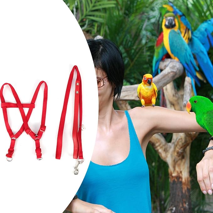 Pet Parrot Bird Harness and Leash, Adjustable Parrot Traction Harness Leash, Outdoor Flying Training Rope Anti Bite Training Rope for Parrot Macaw Cockatoos