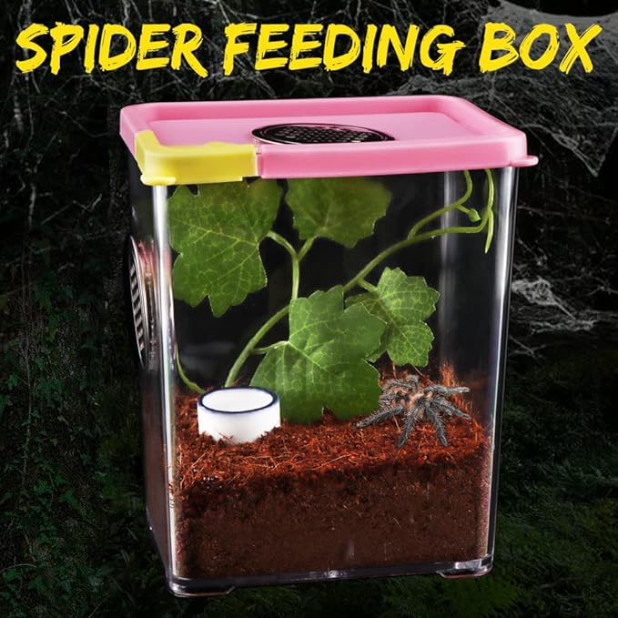 Spider Breeding Box Tarantula Transparent Feeding Box Hatching Container Insect Catcher Butterfly Habitat Cage(4.1" x 3.1" x 5.1")