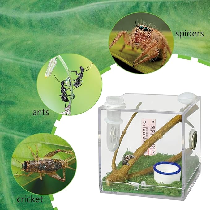 2 Pack Jumping Spider Enclosure,Tarantula Enclosure with Tongs and Droppers,Praying Mantis Eggs to Hatch Box for Small Animals Such As Tarantula,Spiders,Snails,Crickets,Praying Mantis and Ants