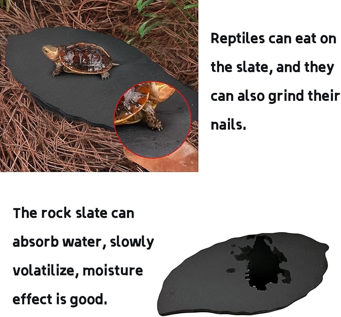 Reptile Basking Platform 7.0''x5.3'' Turtle Rock Plate Feeding Food Dish Feeding Bowl Tortoise Bathing Platform Resting Slate for Lizard Gecko Bearded Dragon Chameleon Frog Hermit Crab