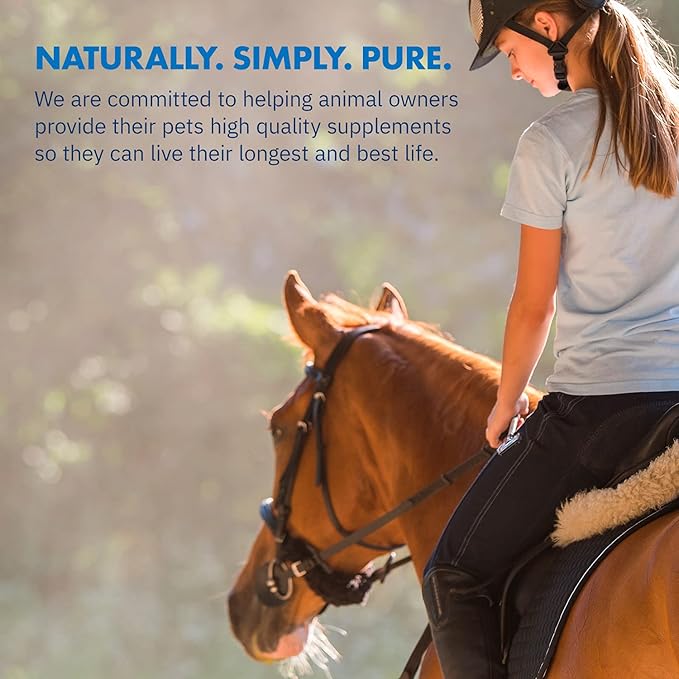 HealthyGut™ Probiotics for Horses Dietary Supplement, All-Natural Digestive System Performance Formula (90 Days)