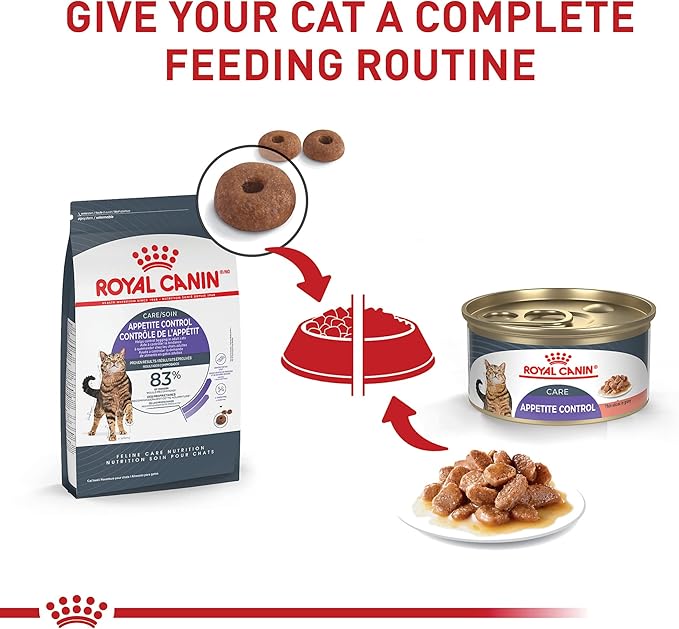 Royal Canin Feline Care Nutrition Appetite Control Thin Slices in Gravy Wet Cat Food, 3 oz can (24-count)