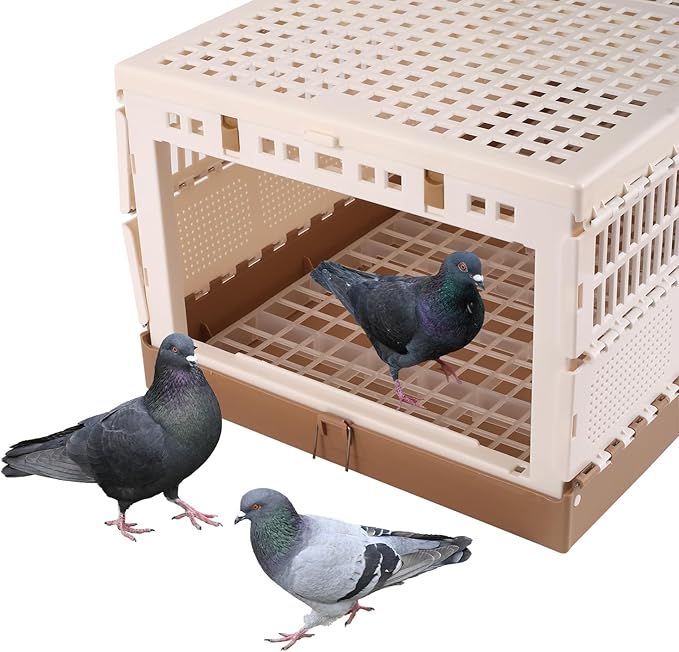 Plastic Folding Pigeon Cage, Portable Pet Bird Travel Cage Carrier Pigeon Cage Pairing Cage Pigeon Nest Box Easy to Clean for Training and Release Competition (XL)