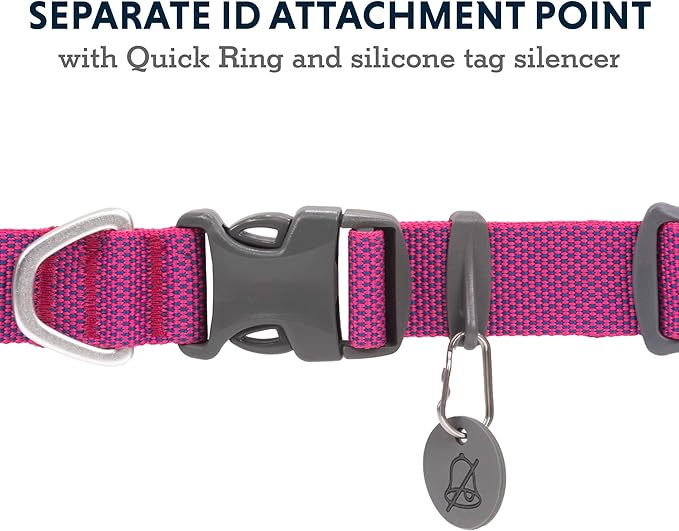 Ruffwear, Hi & Light Dog Collar, Minimal and Ultralight Collar for Everyday Walks and Runs, Alpenglow Pink, 9"-11"