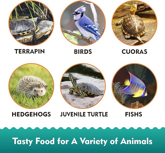 Aquatic Turtle Food - Reptile & Amphibian Food, 3oz Freeze-Dried River Shrimp, Mealworms, and Crickets Medley Treat, Vitamin-Enriched Turtle Shrimp