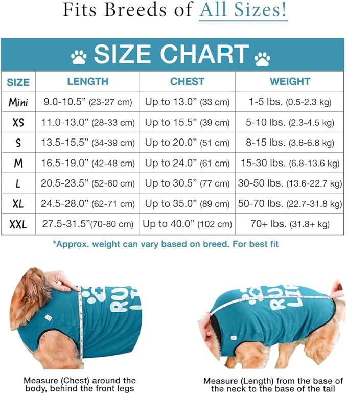 BellyGuard Recovery Suit for Dogs, After Surgery Dog Recovery Suit Female and Male, Soft Cotton Dog Surgery Suit Female Spay, Dog Surgical Recovery Suit Male Neuter, Comfy Surgical Onesie for Dogs.