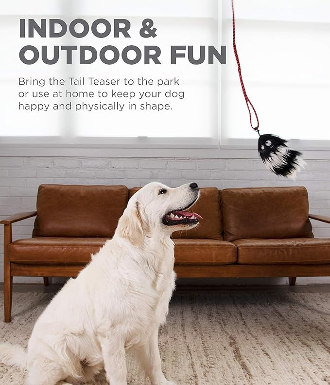 Outward Hound Tail Teaser Replacement Lure for Dog Teaser Wand, Black
