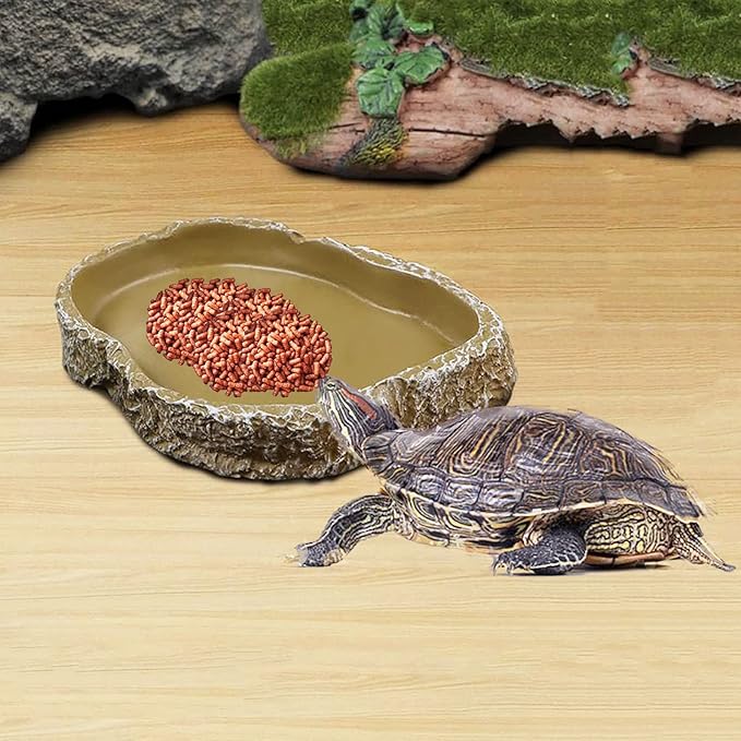 Shallow Reptile Dish Reptile Feeder Terrarium Bowls, Reptile Water and Food Bowls for Lizard Feeding Bearded Dragon Food Dish, Gecko Reptile Water Dish