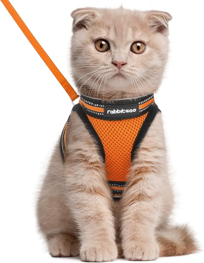 rabbitgoo Cat Harness and Leash Set for Walking Escape Proof, Adjustable Soft Kittens Vest with Reflective Strip for Cats, Comfortable Outdoor Vest,Light Orange,L