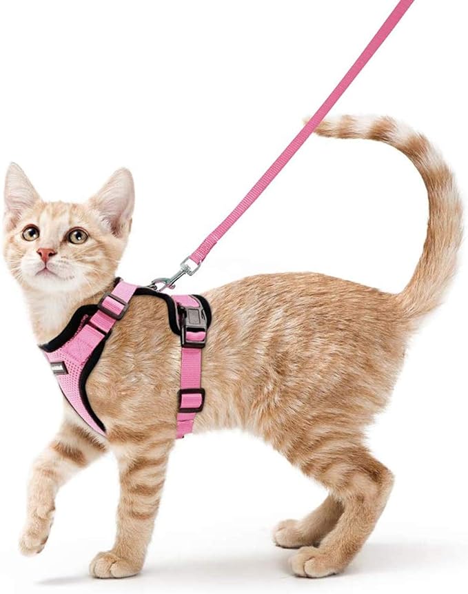 rabbitgoo Cat Harness and Leash for Walking, Escape Proof Soft Adjustable Vest Harnesses for Cats, Easy Control Breathable Reflective Strips Jacket, Pink, S