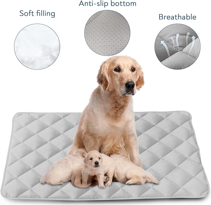 Dog Crate Pad 2 Pack (42" x 28"), Soft Dog Crate Mat with Anti-Slip Bottom, Machine Washable Kennel Pad, Crate Mats for Dog Cages, Dog Bed for Crate, Fits 42 Inch Dog Crate, Grey