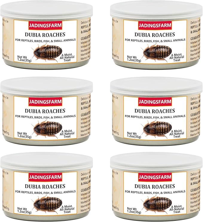 6 Pack Canned Dubia Roaches for Reptiles, Fish, Birds and Small Animals, Dubia Roaches, Healthy High Protein Treat, Reptile Bird Fish Food 1.2 Ounces Each